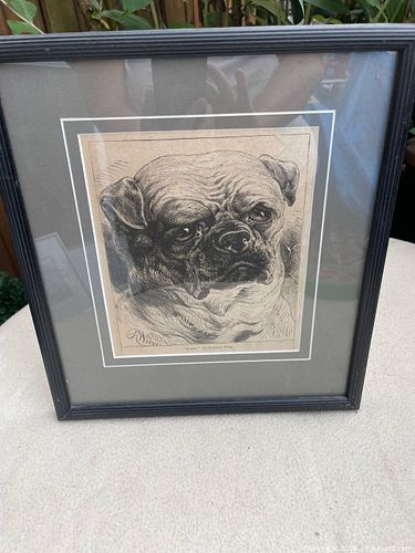 Lot #42 (1 of 4)