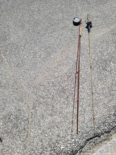 Lot #21 (1 of 2)