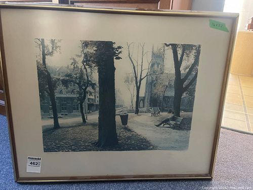 Lot #462 (1 of 12)