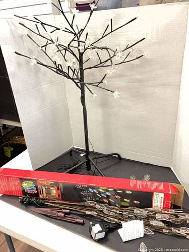 Lot #264 (1 of 7)