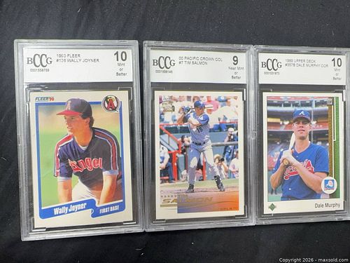 Lot #13 (1 of 7)