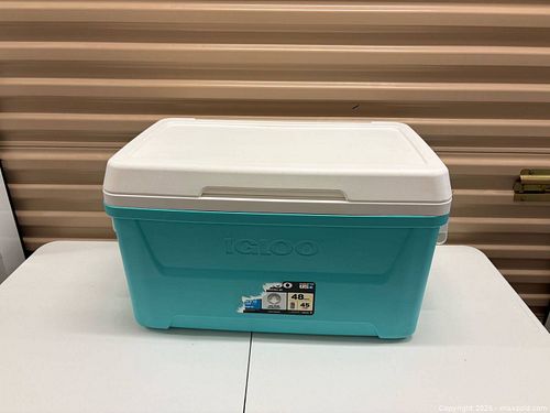Lot #13 (1 of 11)