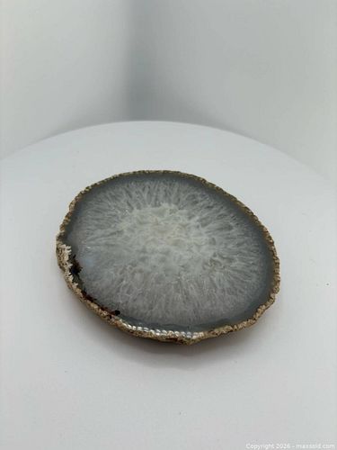 Lot #42 (1 of 6)