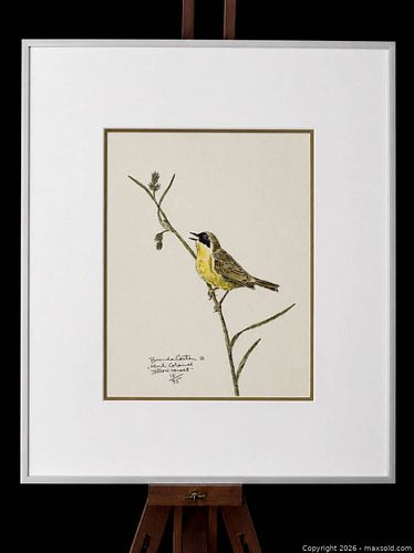 Lot #46 (1 of 3)