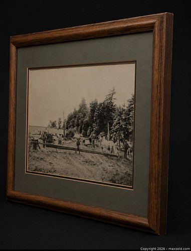 Lot #45 (1 of 3)