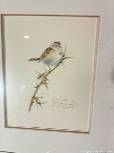 Lot #42 (1 of 5)