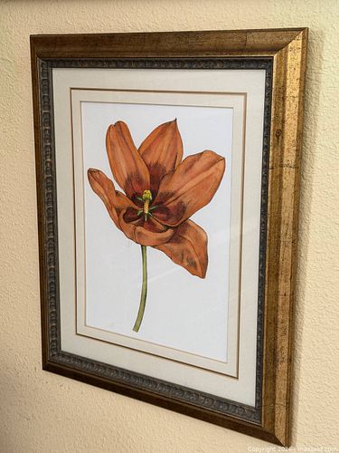 Lot #36 (1 of 5)