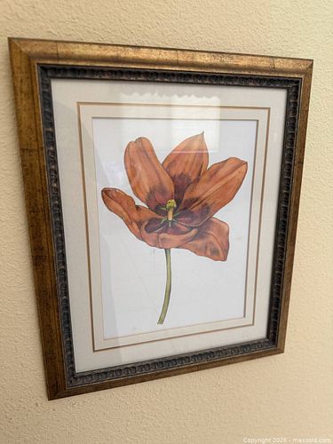 Lot #56 (1 of 1)