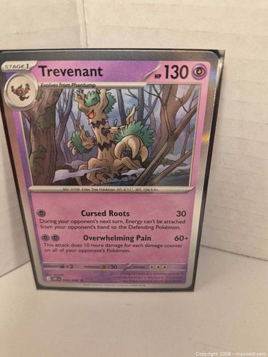 Lot #45 (1 of 8)