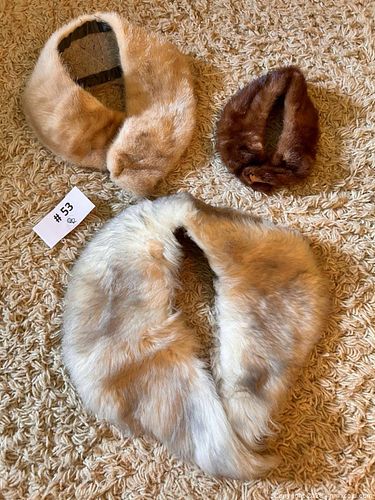Lot #53 (1 of 19)