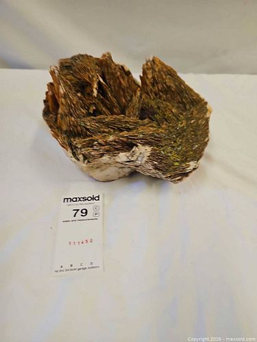Lot #79 (1 of 5)