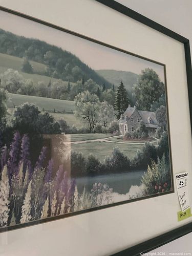 Lot #45 (1 of 13)