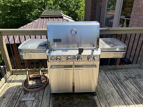 Lot #36 (1 of 8)