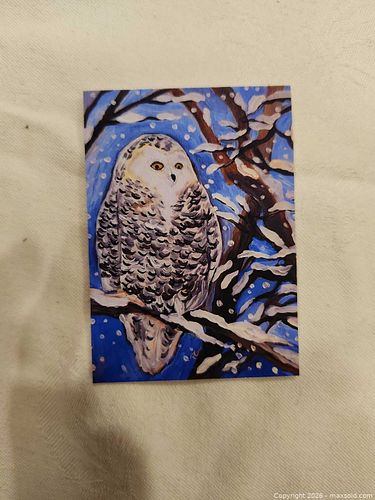 Lot #33 (1 of 4)