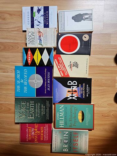 Lot #65 (1 of 13)