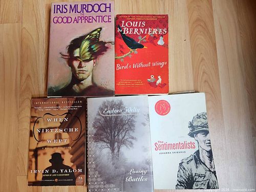 Lot of 4-6 Paperback Literary Fiction Books, English (1 of 6)