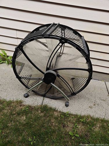 Shoe wheel (1 of 7)