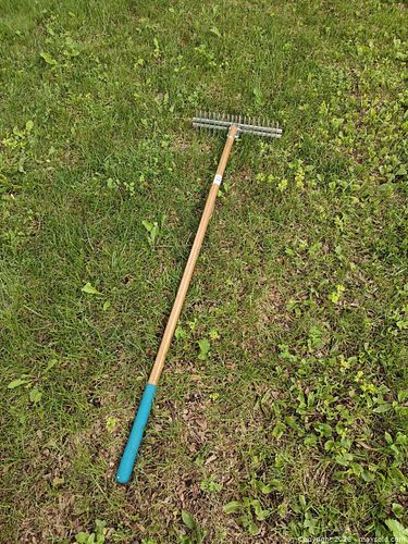 Thatch rake (1 of 5)