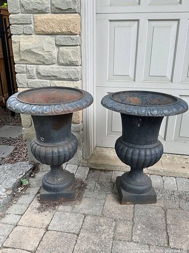 Lot #260 (1 of 10)