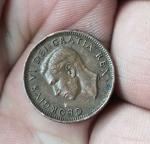 Lot #31 (1 of 3)