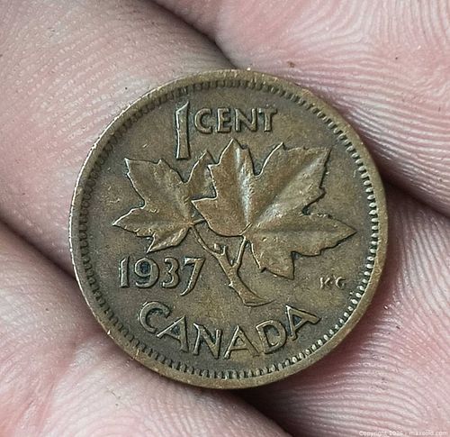 Lot #17 (1 of 5)