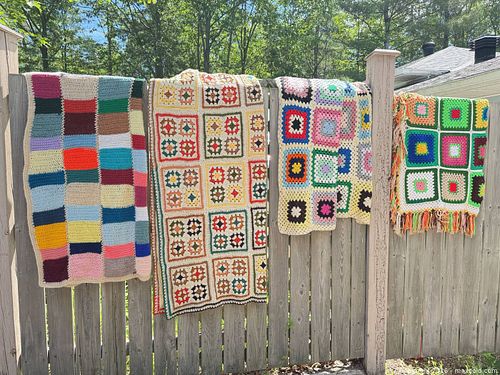 Lot #43 (1 of 12)