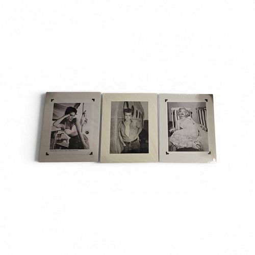 Lot #16 (1 of 4)