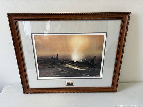 Lot #61 (1 of 17)