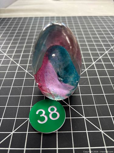 Lot #38 (1 of 7)