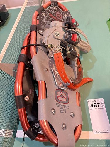 Lot #487 (1 of 9)