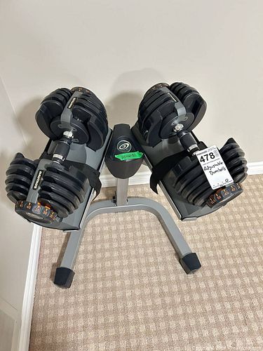 Lot #478 (1 of 8)