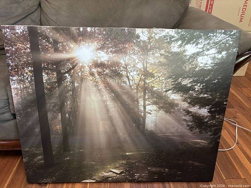 Lot #56 (1 of 5)