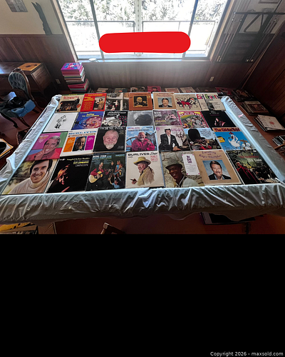 Lot #21 (1 of 3)