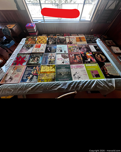 Lot #18 (1 of 3)
