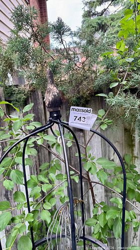 Lot #743 (1 of 18)