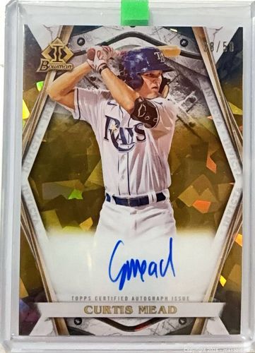Lot #12 (1 of 5)