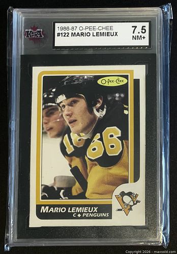 Lot #205 (1 of 2)