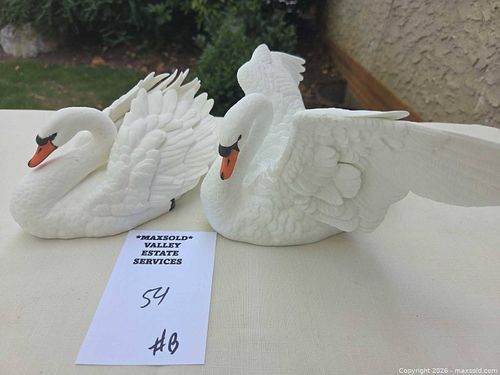 Lot #54 (1 of 12)