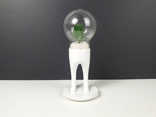 Lot #244 (1 of 12)