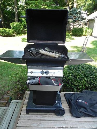 Lot #0157 (1 of 11)