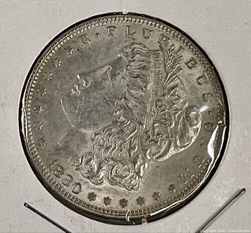 Lot #585 (1 of 2)