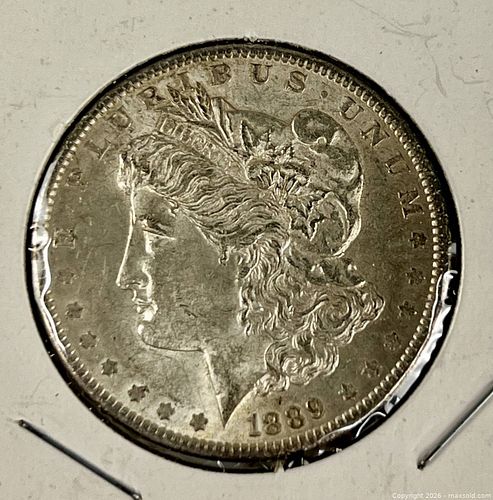Lot #590 (1 of 2)