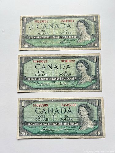 Lot #20 (1 of 2)