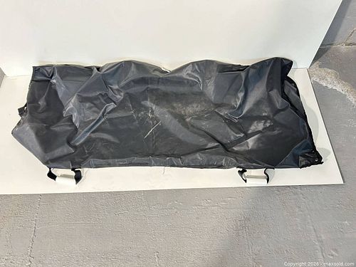 Lot #49 (1 of 2)