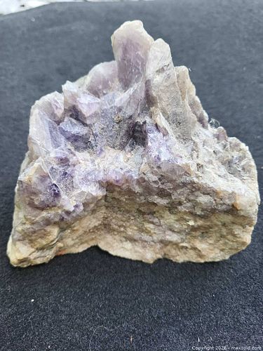 Lot #42 (1 of 5)