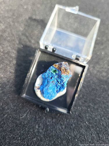 Lot #8 (1 of 5)