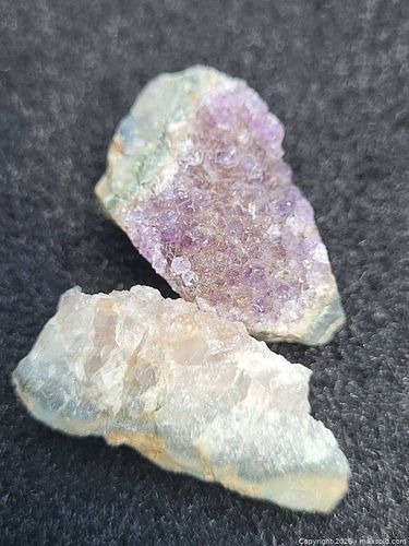 Lot #11 (1 of 5)