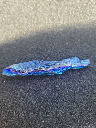 Lot #5 (1 of 5)