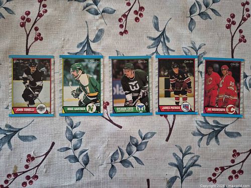 Lot #14 (1 of 12)