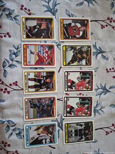 Lot #18 (1 of 12)